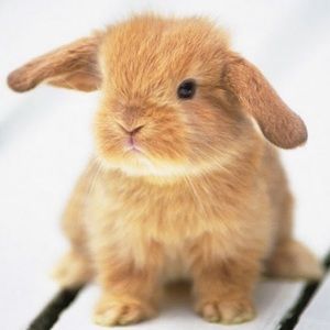 Meet your Posher, Gionna